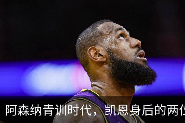 阿森纳青训时代，凯恩身后的两位前锋故事
